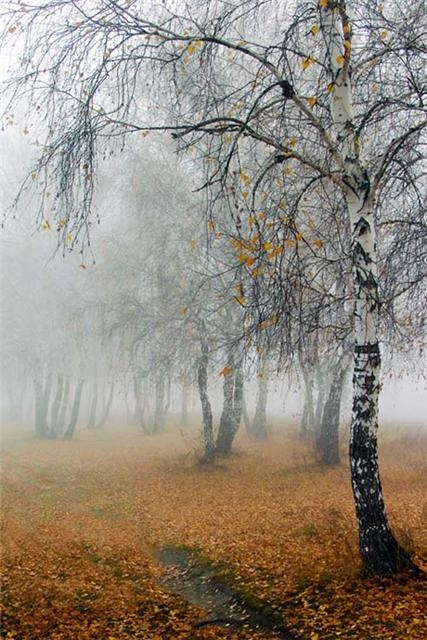 Mist.jpg