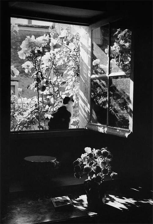 __douard_Boubat__Sans_titre__1972..jpg