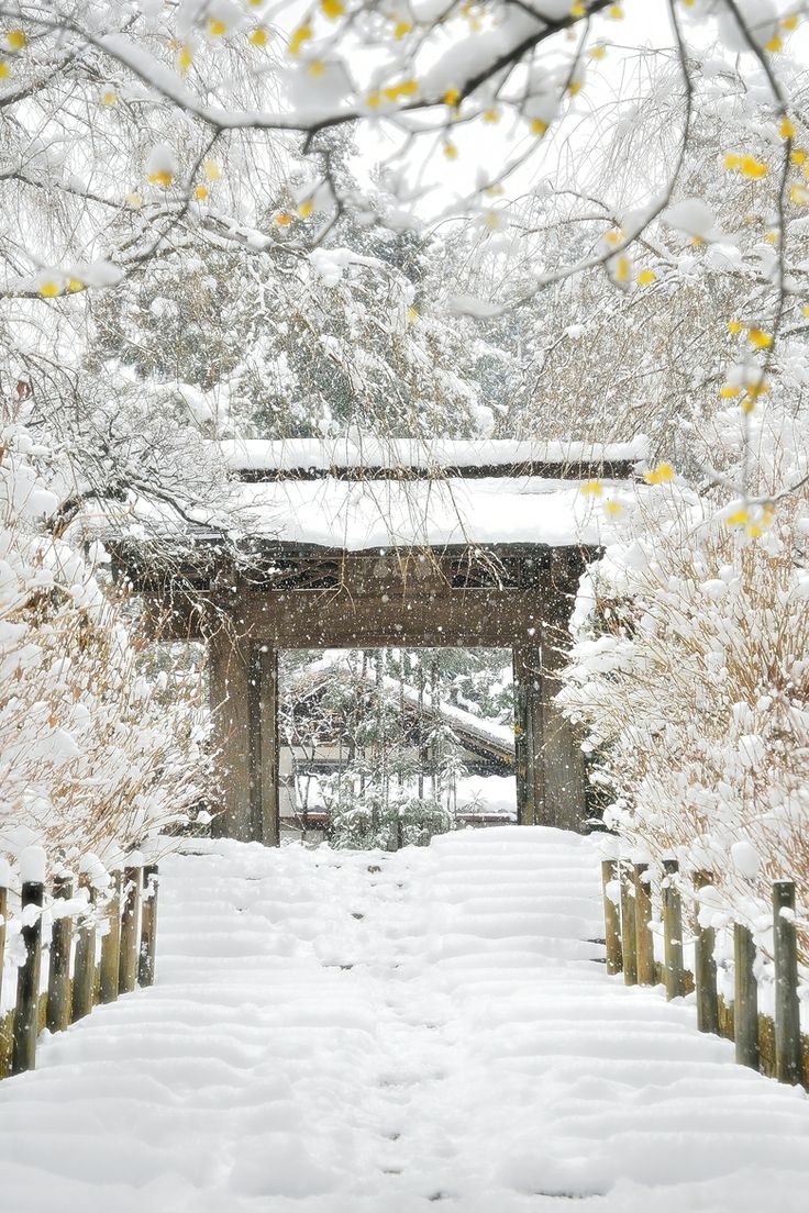 Temple_in_the_snow__Meigetuin__Kamakura__Kanagawa__Japan.jpg