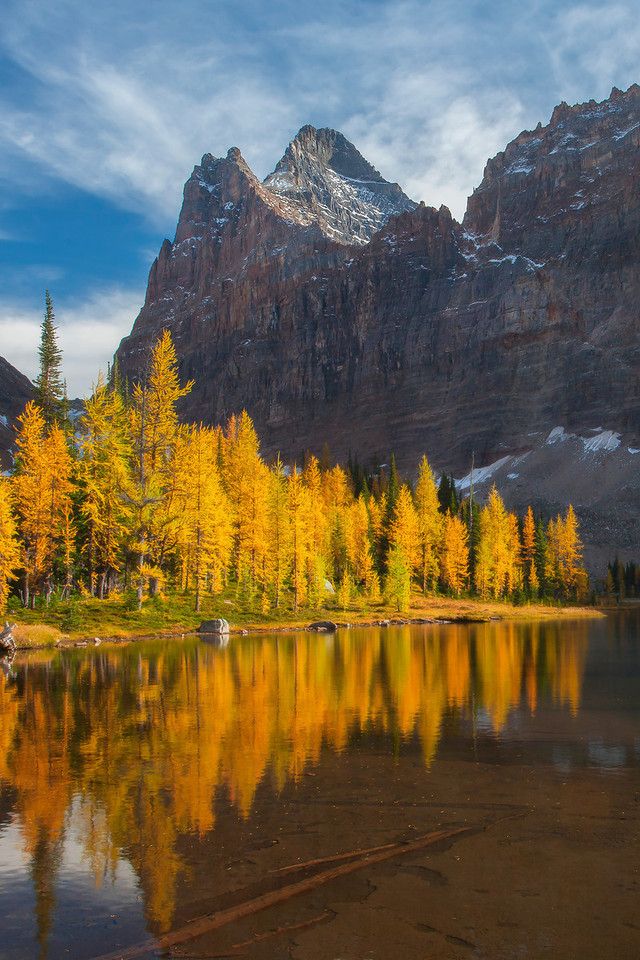 Lake_O__Hara__Yoho_National_Park__British_Columbia__Canada..jpg