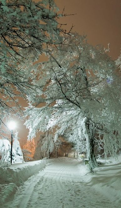 Stavropol_Krai__North_Caucasus___Russia.jpg
