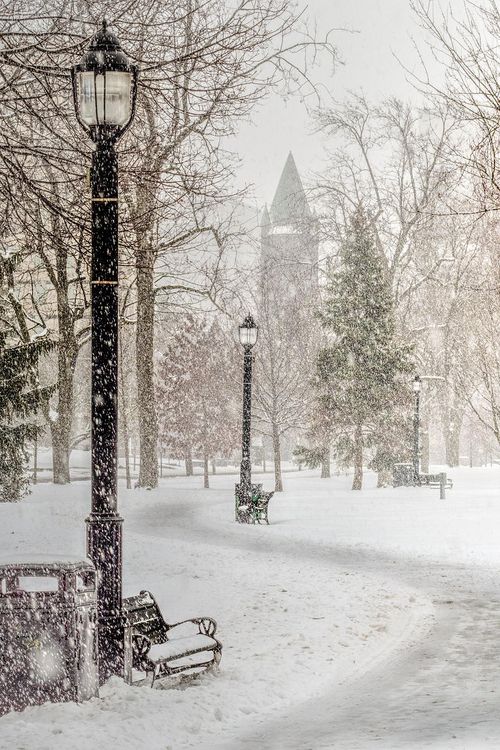 Victoria_Park_in_snow__Canada.jpg