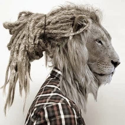 photolion.jpg