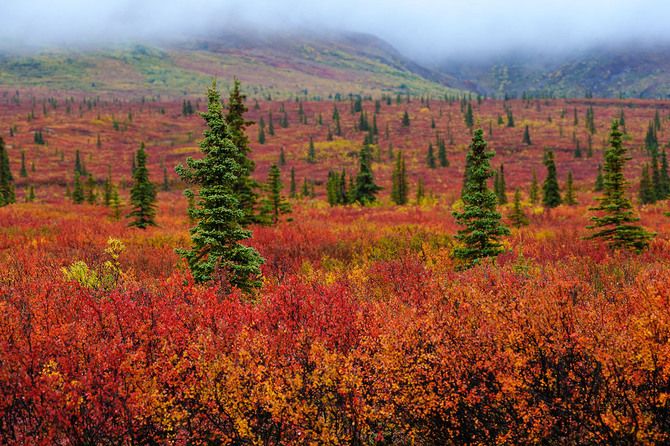 Pete_Wongkongkathep_Alaska26.jpg