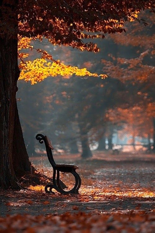 Autumn_in_the_Park.jpg
