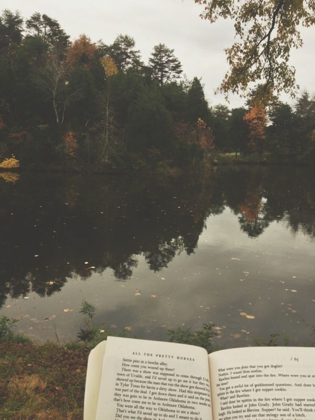 6bbe21dfb645190134e0dd3e428bf55c.jpg