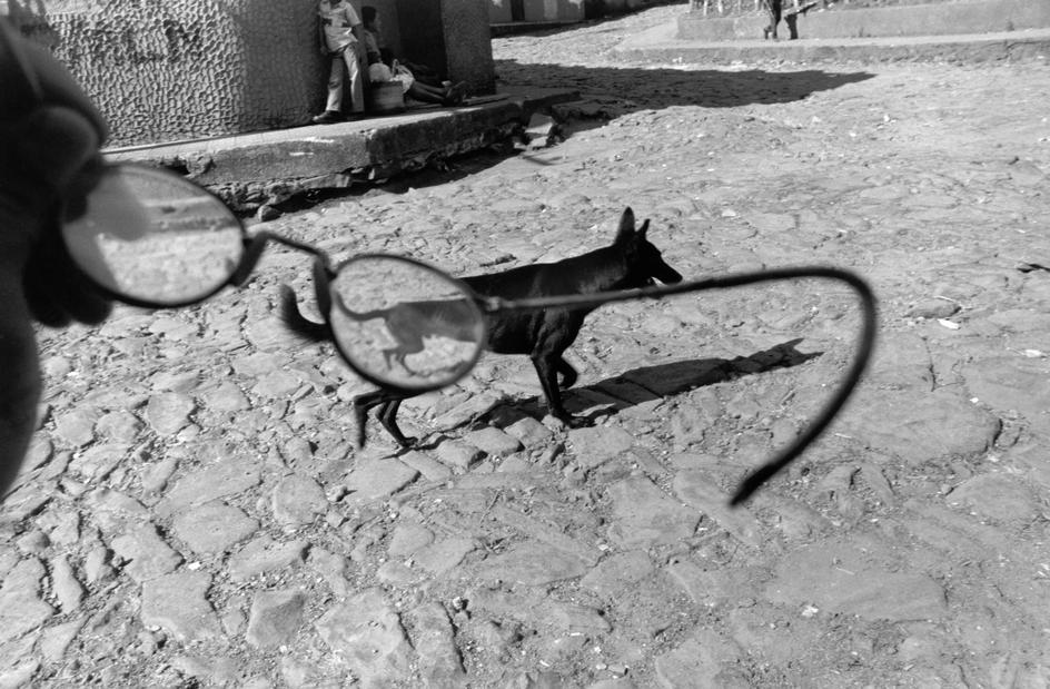 EL_SALVADOR._Perquin__Morazan._A_dog_is_seen_through_the_photographer__s_eyeglasses..jpg