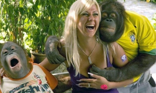 orangutan_copafeel.jpg