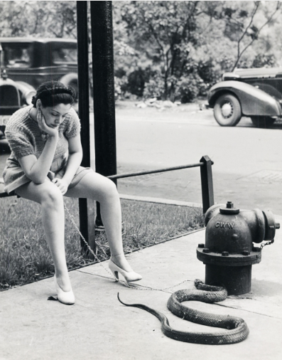 vintage_unusual_photos_1.png