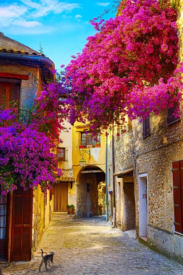 Springtime_in_Nice___on_the_French_Riviera.jpg