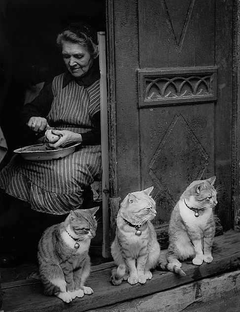 1950_by_Toni_Schneiders.jpg