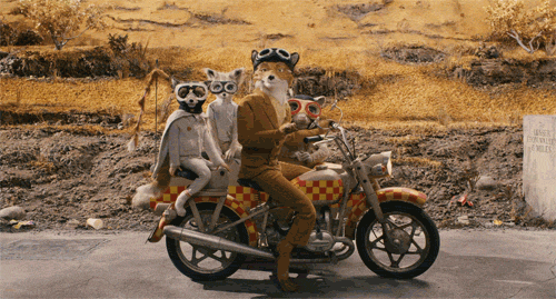 klassnyie_gifki__25_iz_29_foto_.gif
