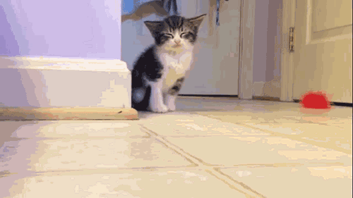 klassnyie_gifki__12_iz_29_foto_.gif