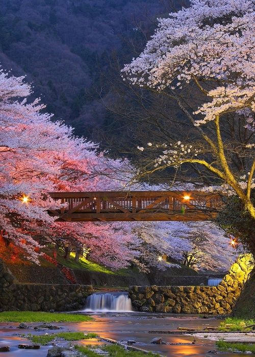 Kyoto__Japan..jpg