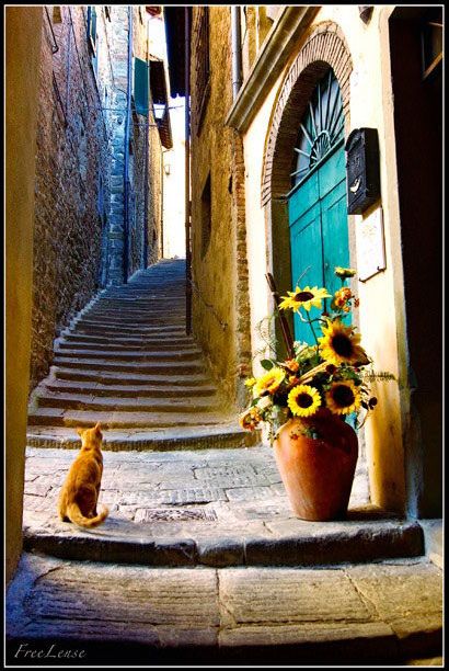 Cortona__Province_of_Arezzo___Tuscany__Italy.jpg