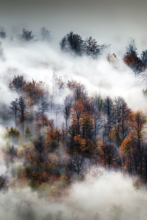 Autumn_by_Adnan_Bubalo.jpg
