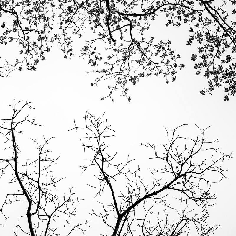 Photo_By_Ashok_Saravanan.jpg
