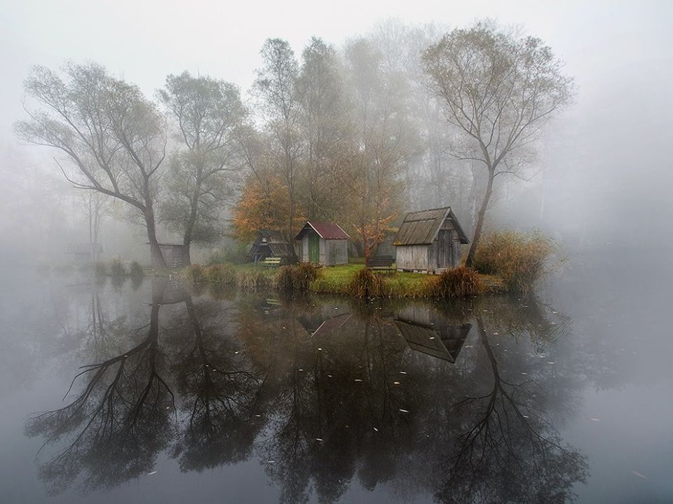 Photograph_by_Gabor_Dvornik__National_Geographic.jpg