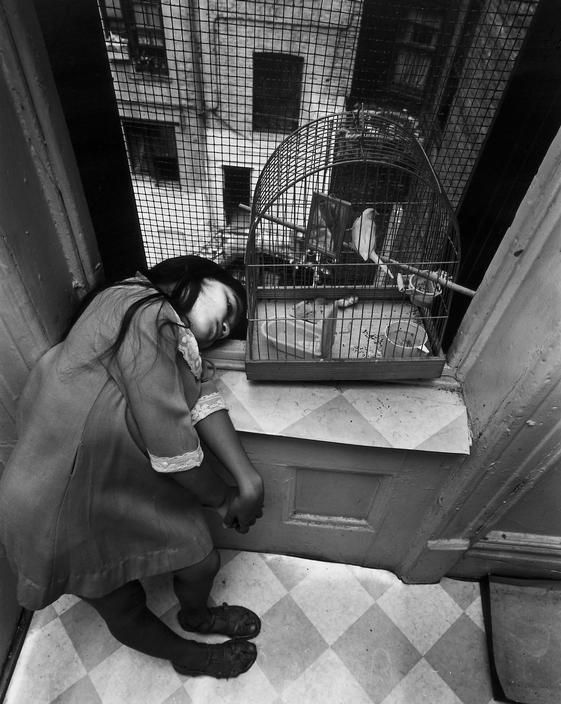 Bruce_Davidson._USA._New_York_City._1966._East_100th_Street.jpg
