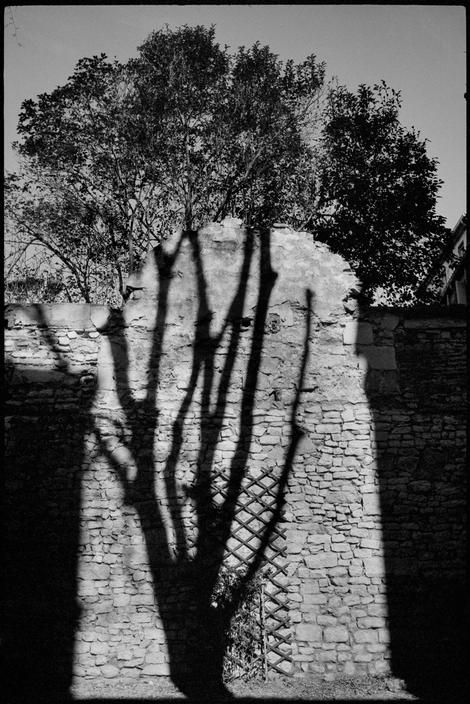 Martine_Franck._FRANCE._Languedoc_Roussillon_region._Nimes._1989.jpg
