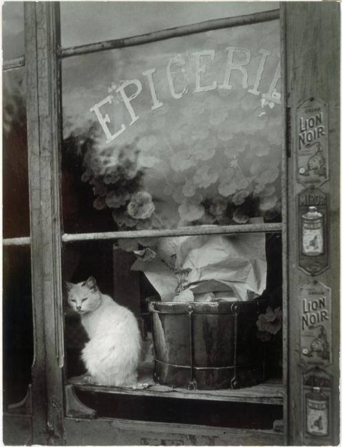 Le_Chat_Blanc_de_l___Epicerie._Paris.1938..jpg