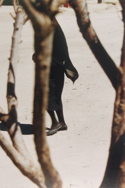 Woman_in_Black_Seen_Through_Trees._Saul_Leiter__1950_s.jpg
