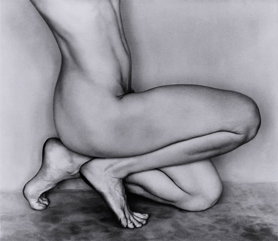___Dancer_s_Knees_____1927___Photography_by_Edward_Weston__American__1886___1958_.jpg