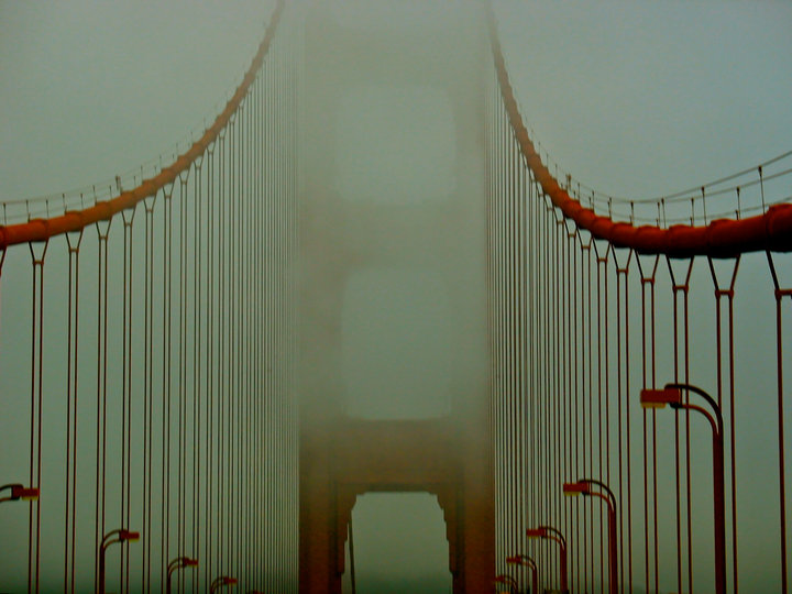 60293_436776701839_3267964_n.jpg