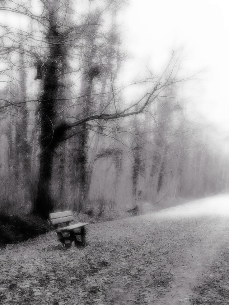 Nevertheless___by_Etienne_Cabran__1963___French.jpg