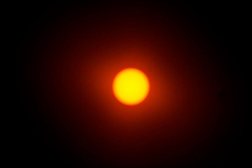 544691_10150844156076840_1032809896_n.jpg