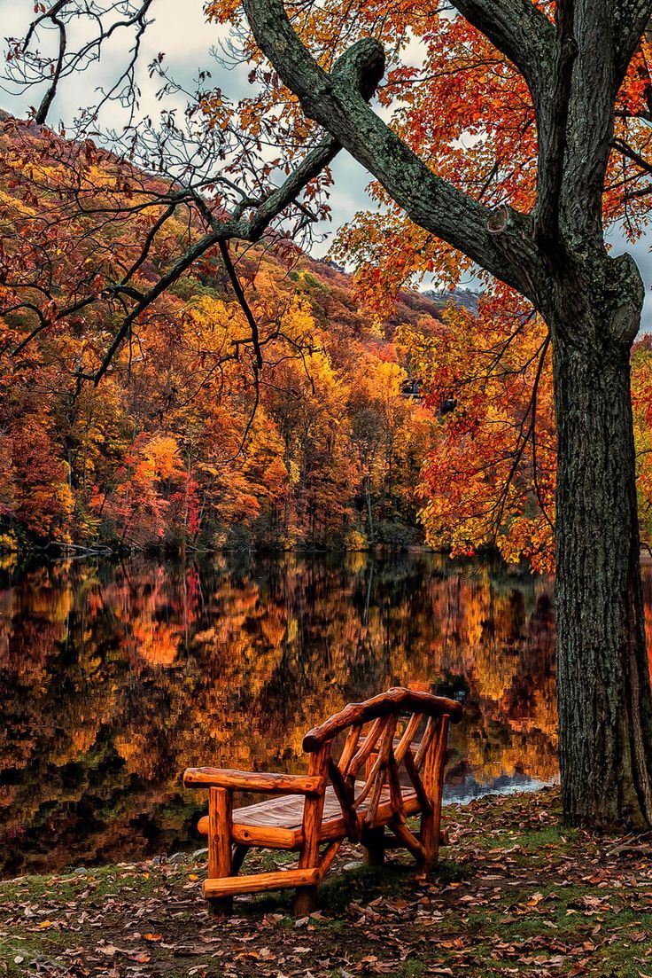 Autumn_Lake_Bench__Upstate_New_York.jpg