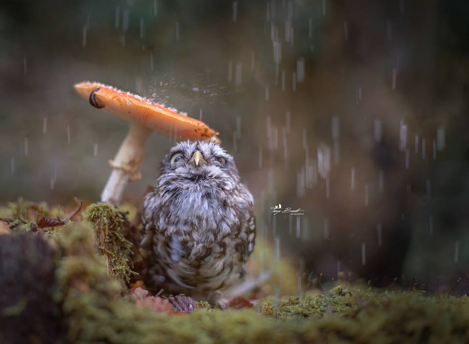 Tanja_Brandt.jpg