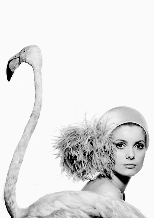 Catherine_Deneuve_photographed_by_David_Bailey..jpg
