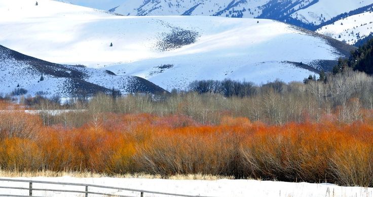 Sun_Valley.jpg