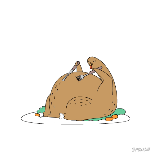 giphy.gif
