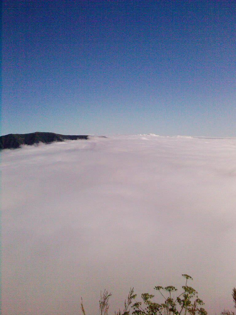 A_0197.jpg