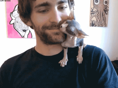 gifs_08.gif