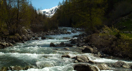 110368841__mqx880u9KB1r4zr2vo2_r1_500.gif