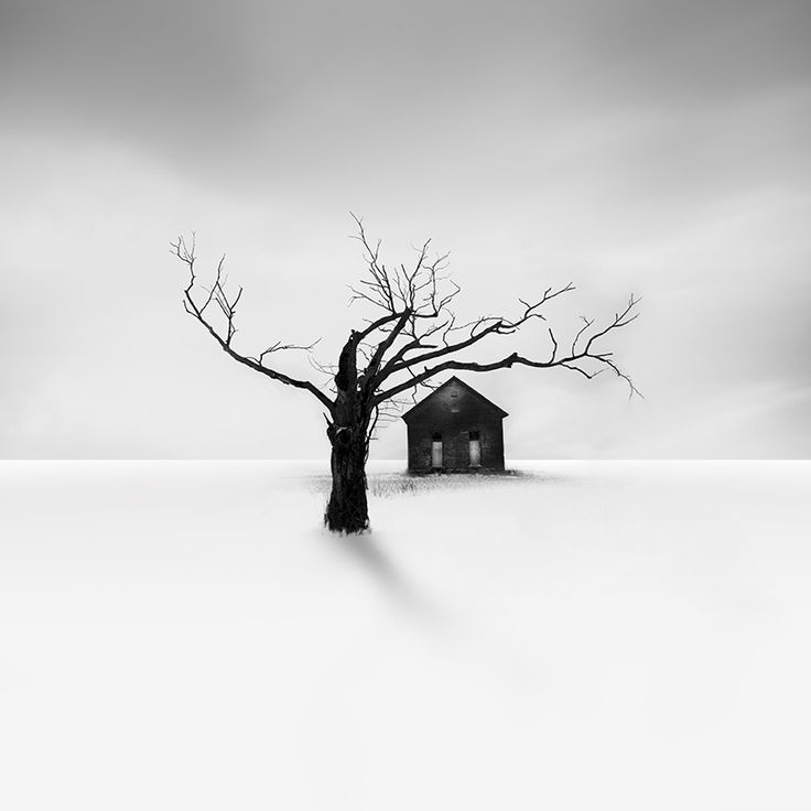snowscape___by_Vassilis_Tangoulis.jpg