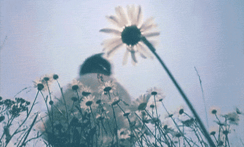 tumblr_nm94ecCV4I1tpdcs9o1_500.gif