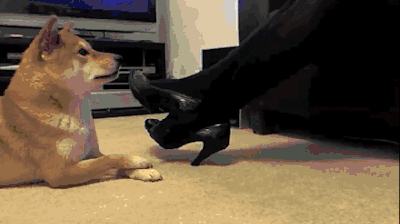 tumblr_n2eo6pKhV31tndv81o1_400.gif