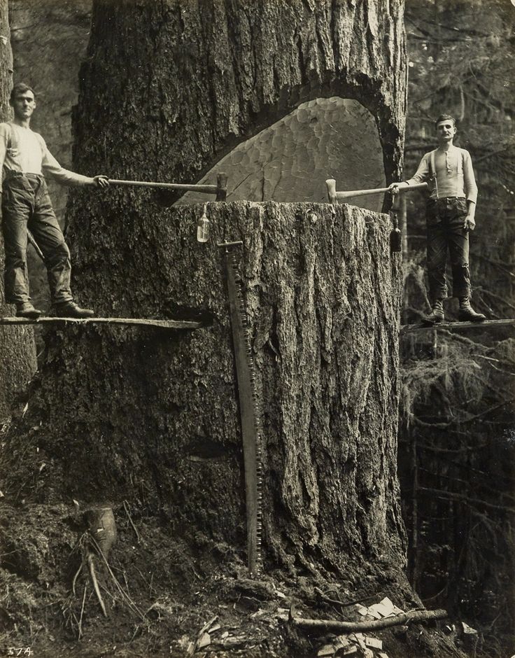___Arthur_M._Prentiss__ca._1915__Lumberwork.jpg