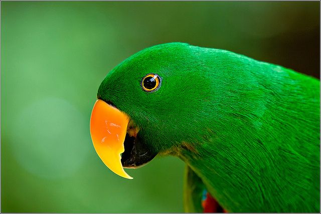 Nature_Photography_02.jpg