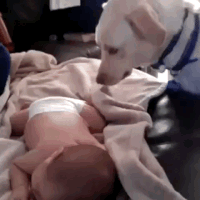 s_5fbec6fe270cc008a53ae72926f6686f237e4bd3.gif