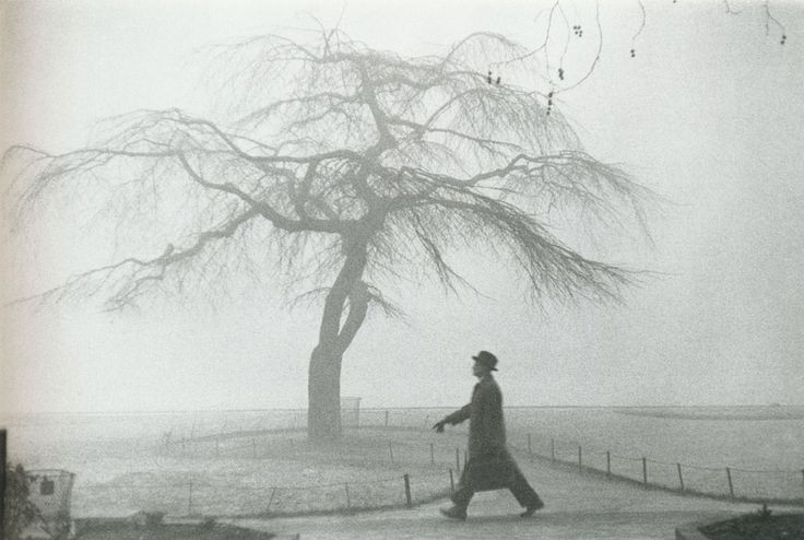 Robert_Frank__London__1951.jpg