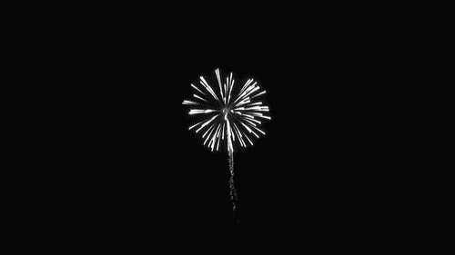 2da5285502b1e0a882a951edbf19c13d.gif