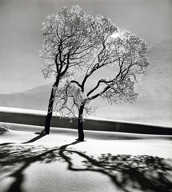alfred_eisenstaedt_10.jpg