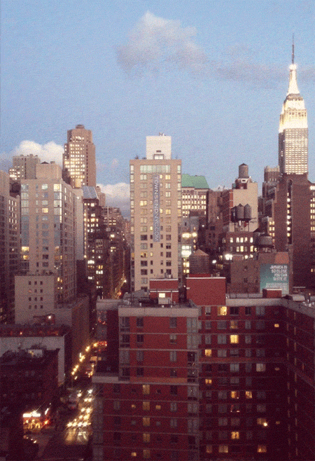 giphy.gif