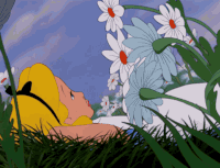 200w_d__7_.gif