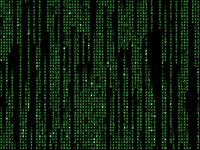 200w_d.gif